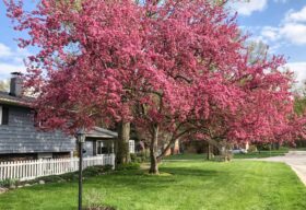 319 Woodstock Ave, Avon Lake, OH 44012