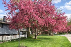 319 Woodstock Ave, Avon Lake, OH 44012